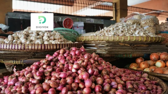 Bagaimana Digital Marketing Membantu UMKM Tumbuh Lebih Cepat?