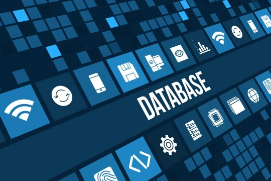 Menjelajahi Lautan Data: Membongkar Rahasia SEO dengan Database